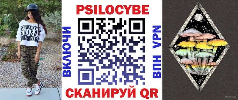 Купить  Жиздра  Галлюциногенные грибы прущие грибы 